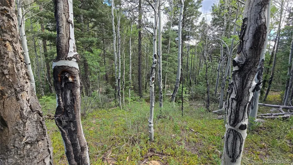 Lot 6474 Malcolm Road San Luis CO 81152