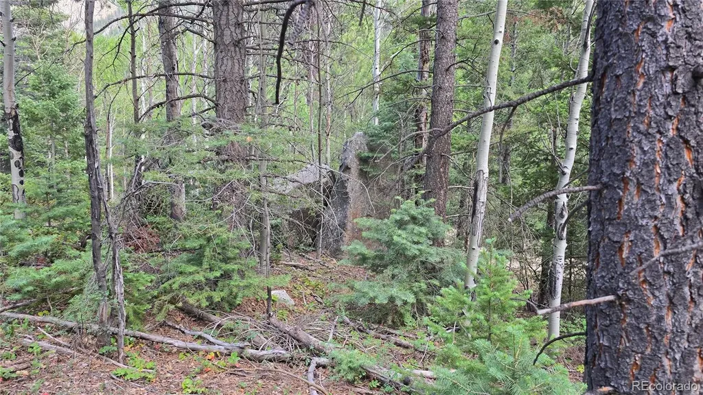 Lot 6474 Malcolm Road San Luis CO 81152