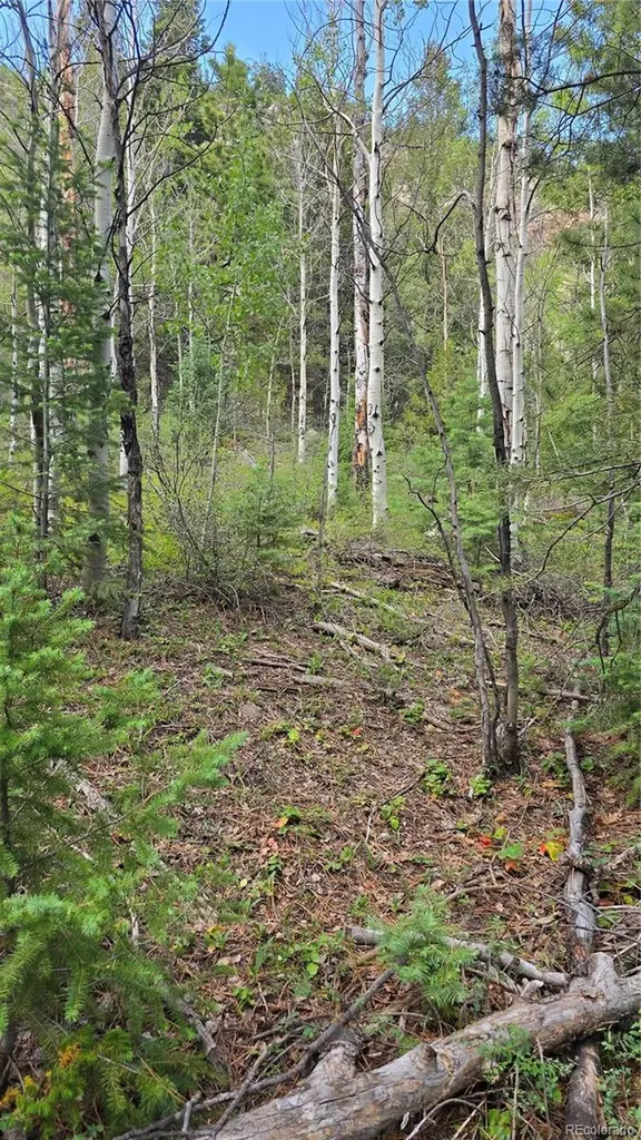 Lot 6474 Malcolm Road San Luis CO 81152