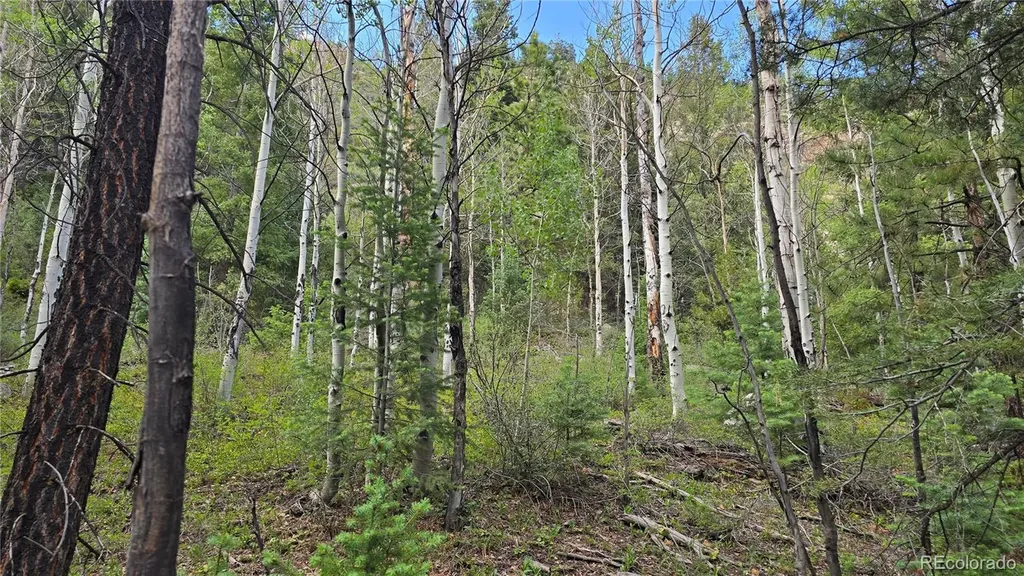 Lot 6474 Malcolm Road San Luis CO 81152