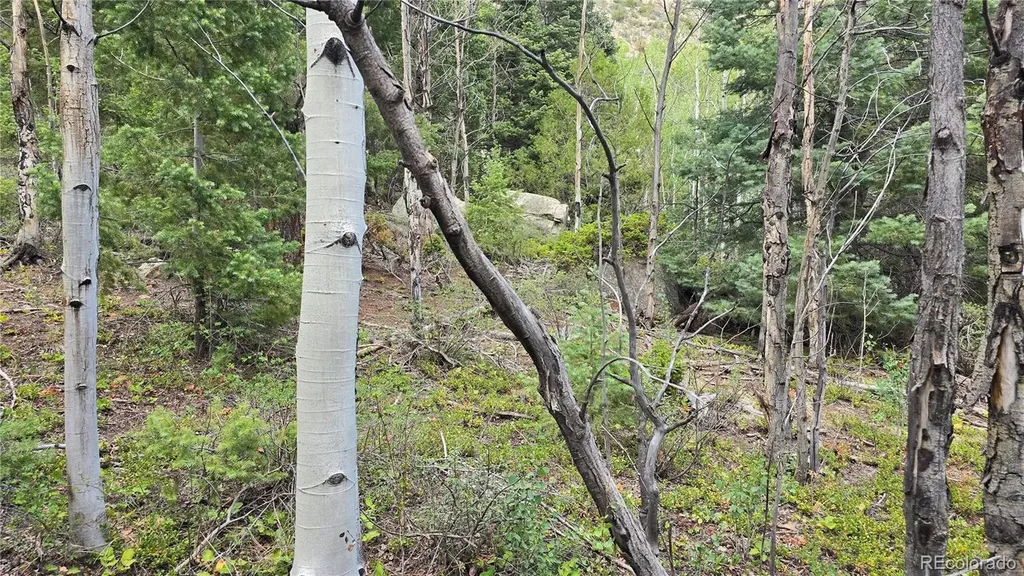 Lot 6474 Malcolm Road San Luis CO 81152