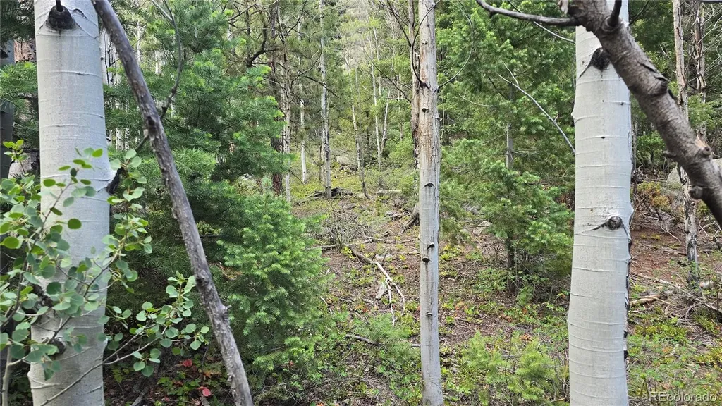Lot 6474 Malcolm Road San Luis CO 81152