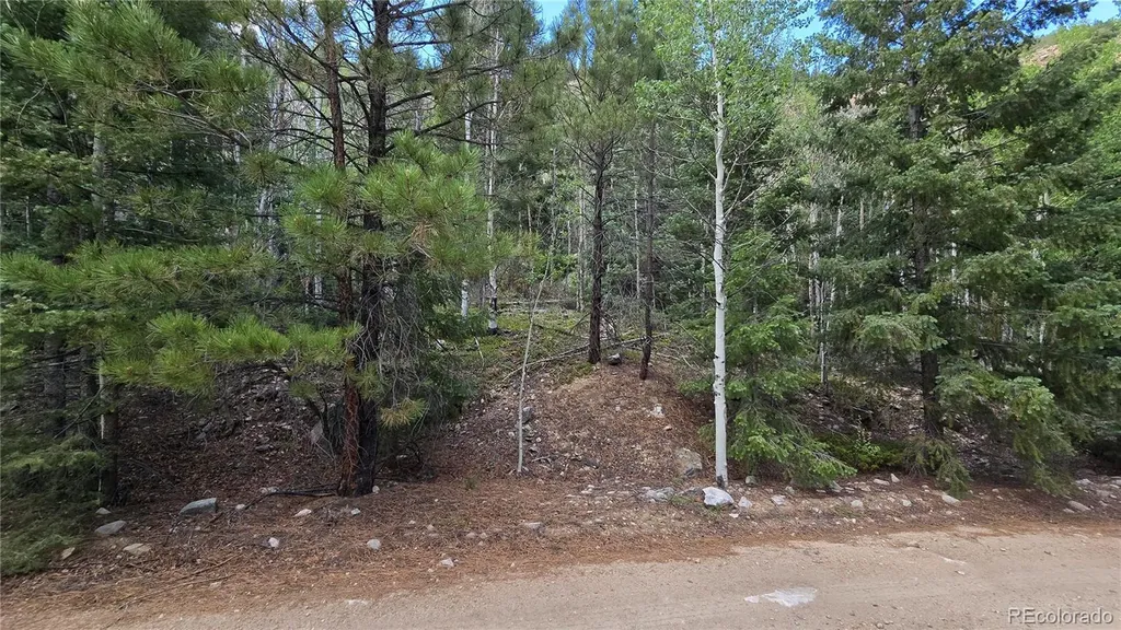 Lot 6474 Malcolm Road San Luis CO 81152