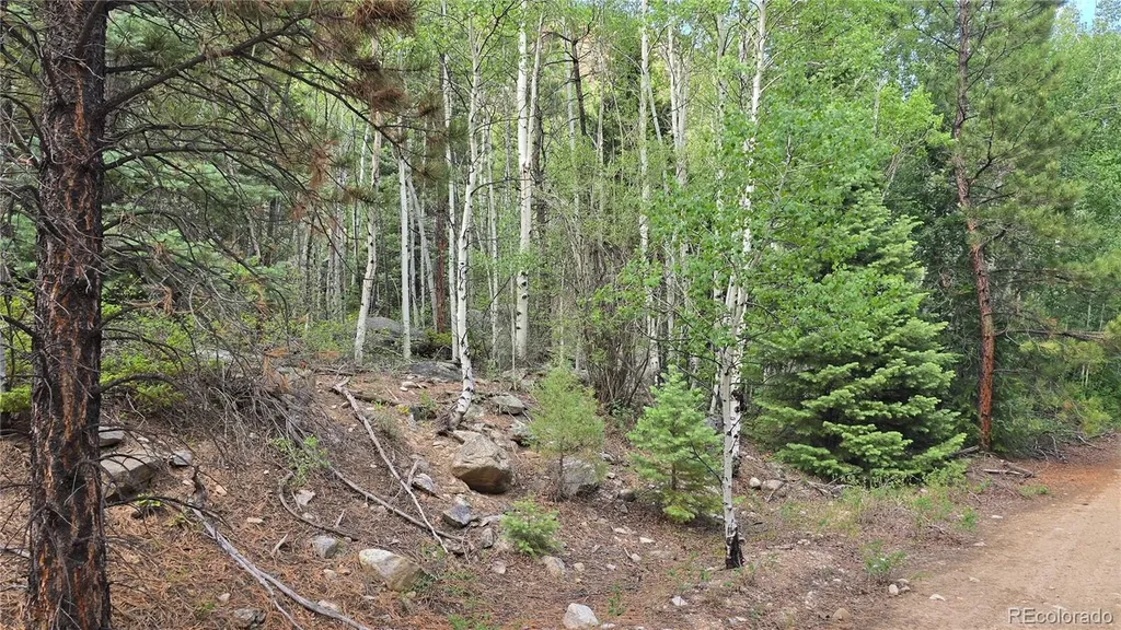 Lot 6474 Malcolm Road San Luis CO 81152