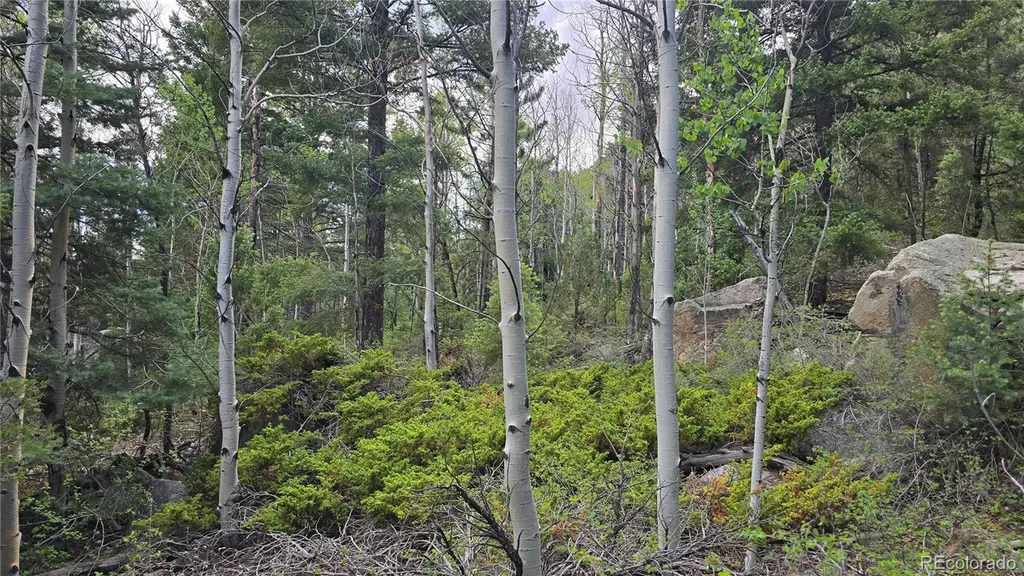 Lot 6474 Malcolm Road San Luis CO 81152