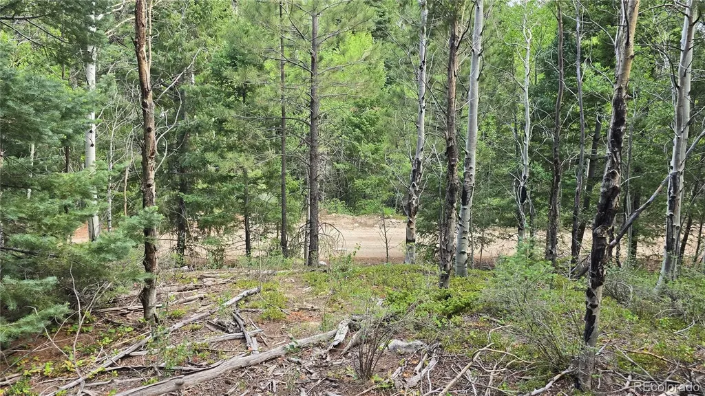 Lot 6474 Malcolm Road San Luis CO 81152
