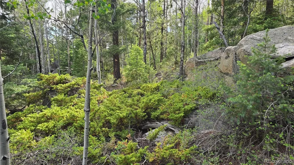 Lot 6474 Malcolm Road San Luis CO 81152