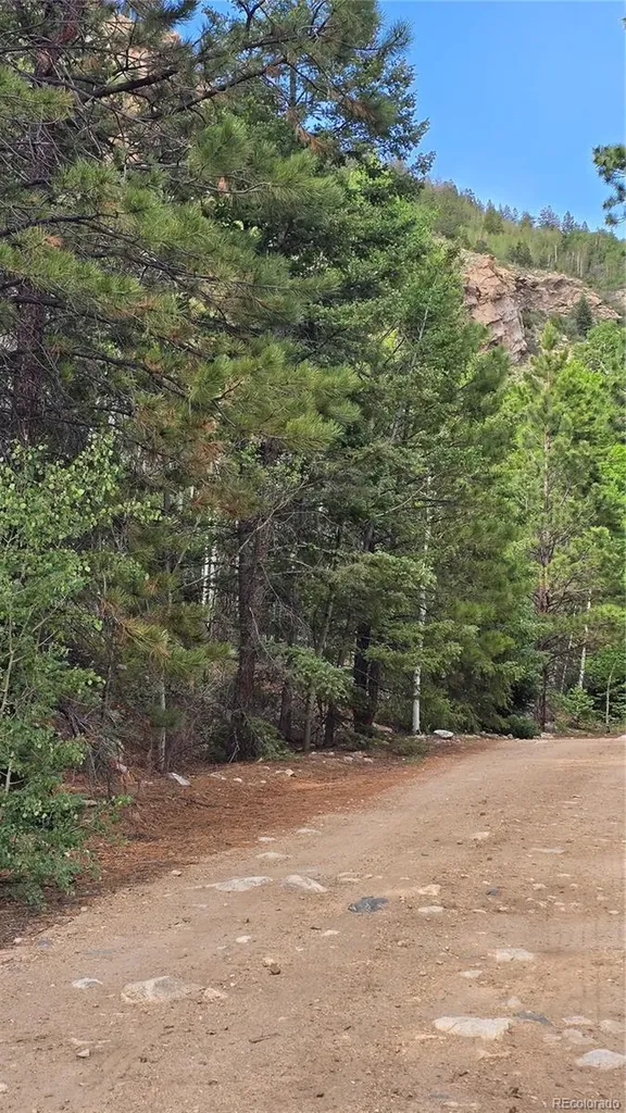 Lot 6474 Malcolm Road San Luis CO 81152