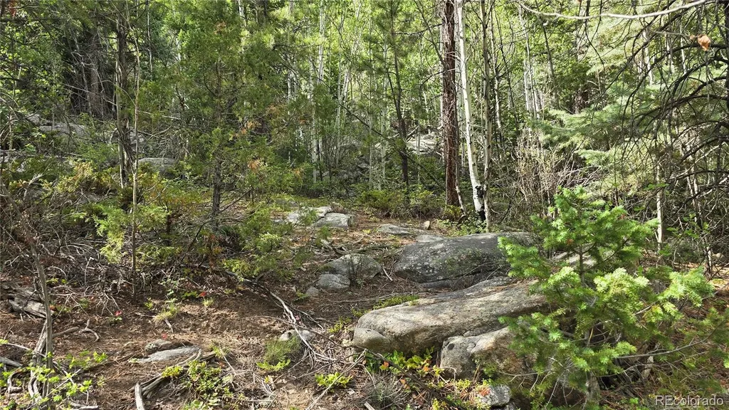 Lot 6474 Malcolm Road San Luis CO 81152