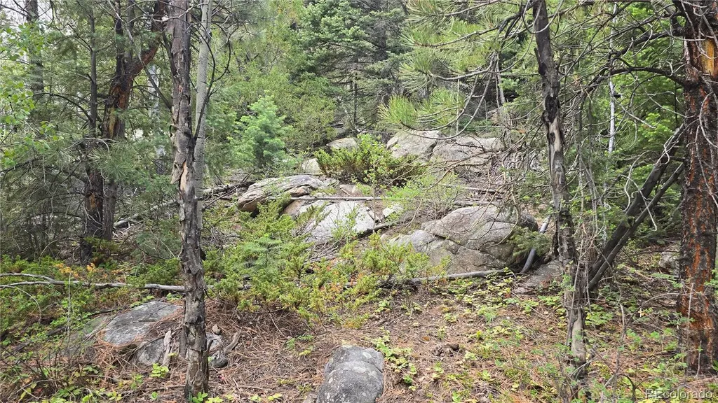 Lot 6474 Malcolm Road San Luis CO 81152
