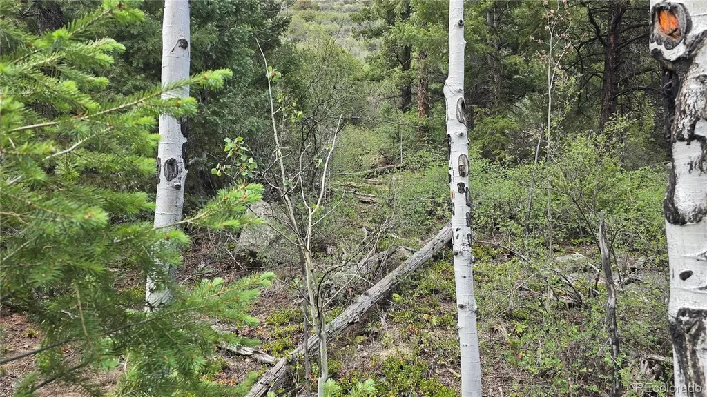Lot 6474 Malcolm Road San Luis CO 81152