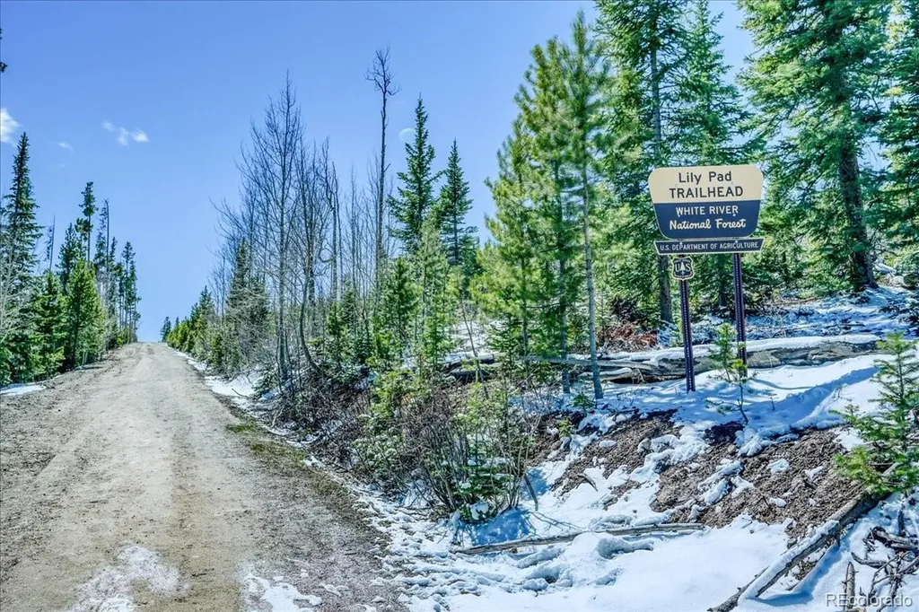 4200 Lodge Pole Circle Silverthorne CO 80498