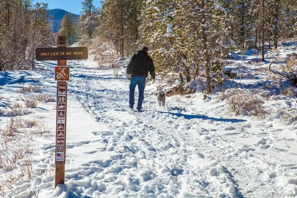 4200 Lodge Pole Circle Silverthorne CO 80498