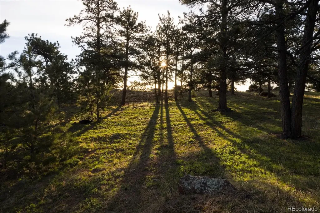 63 Canyon Pines Drive Golden CO 80403
