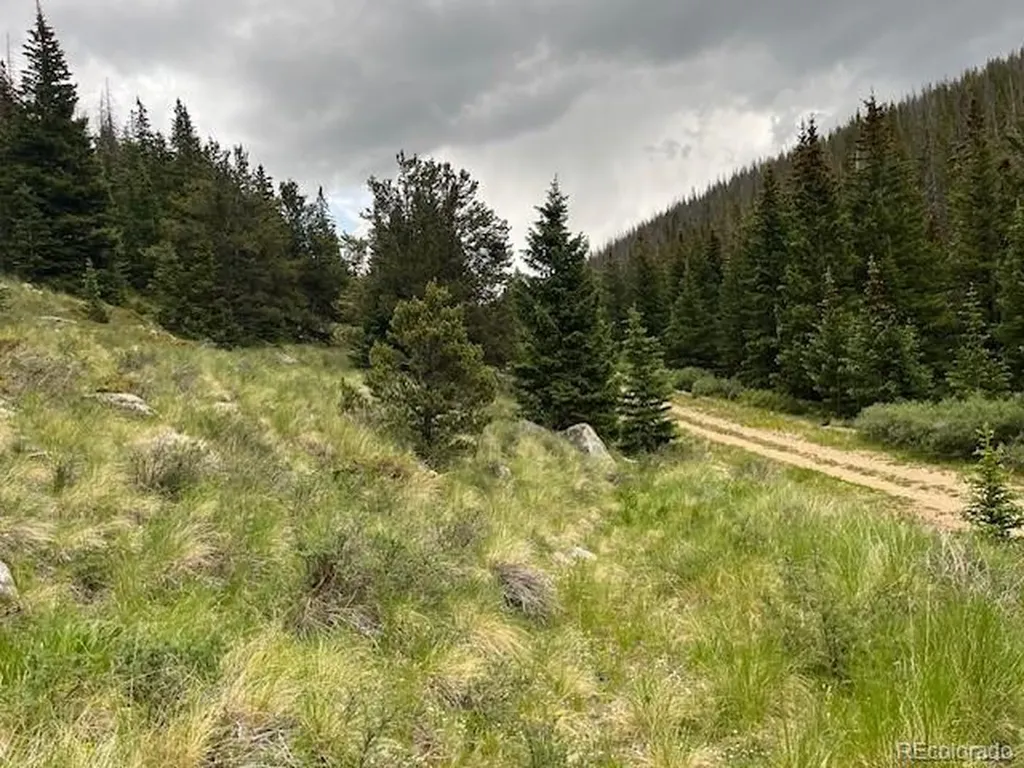 Lot 6644 Phillips Road San Luis CO 81152