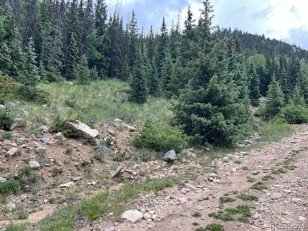 Lot 6644 Phillips Road San Luis CO 81152