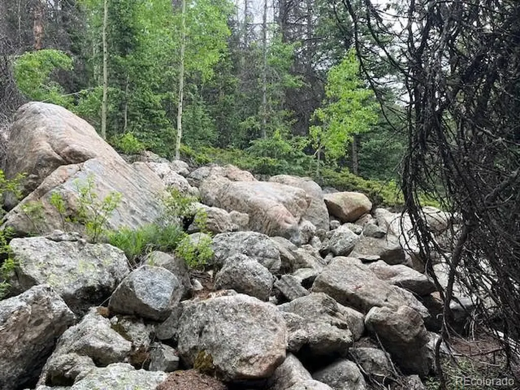 Lot 6644 Phillips Road San Luis CO 81152