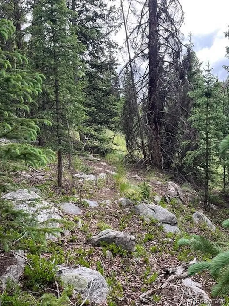 Lot 6644 Phillips Road San Luis CO 81152