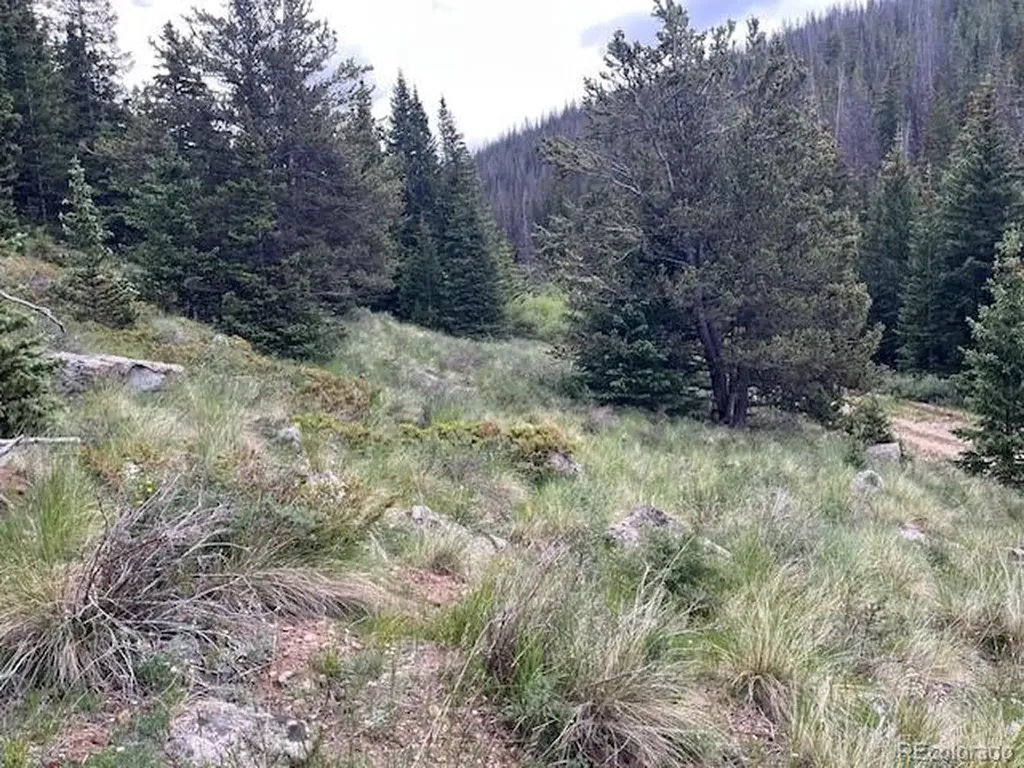 Lot 6644 Phillips Road San Luis CO 81152