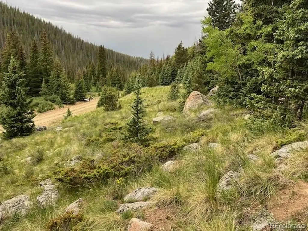 Lot 6644 Phillips Road San Luis CO 81152
