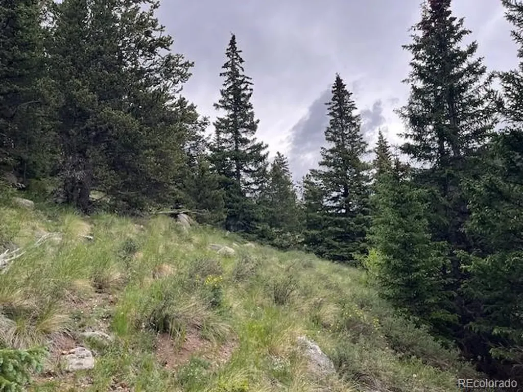Lot 6644 Phillips Road San Luis CO 81152
