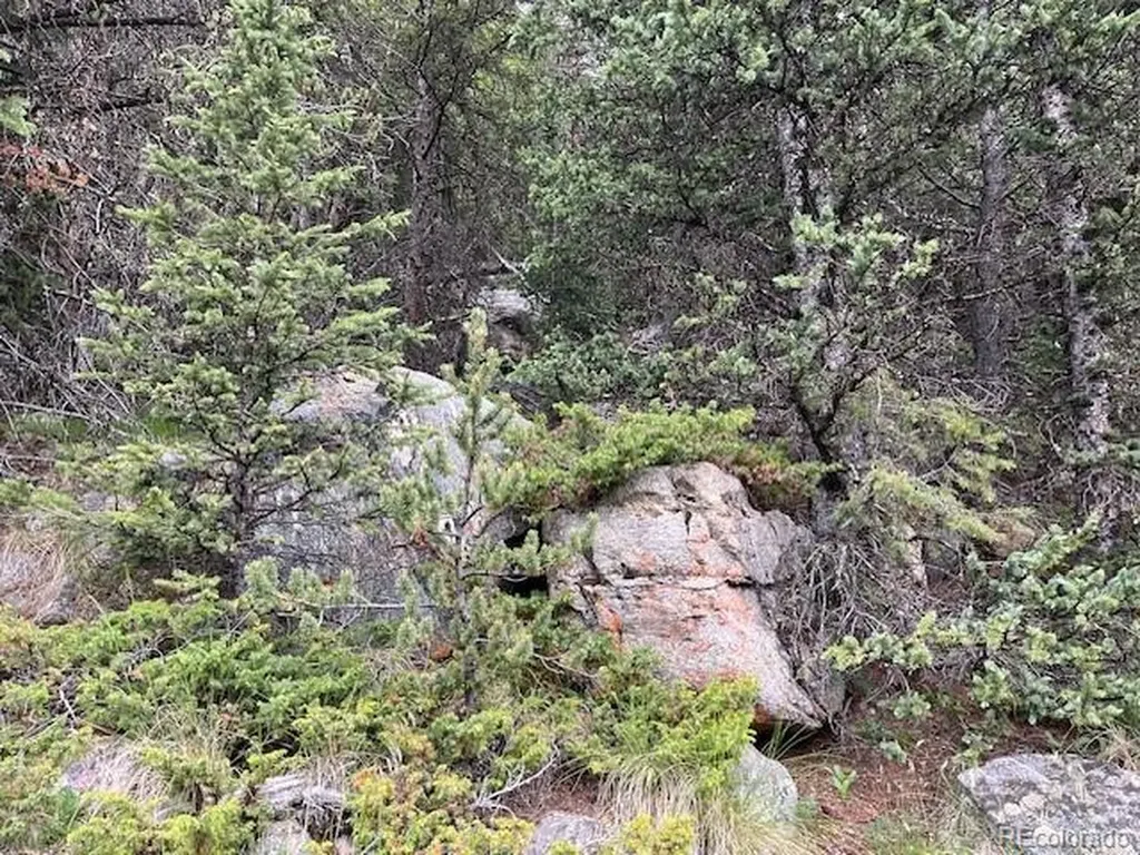 Lot 6644 Phillips Road San Luis CO 81152