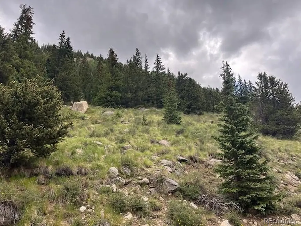 Lot 6644 Phillips Road San Luis CO 81152
