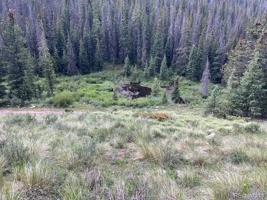 Lot 6644 Phillips Road San Luis CO 81152