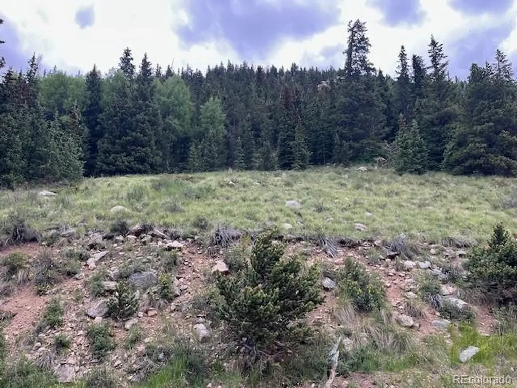 Lot 6644 Phillips Road San Luis CO 81152
