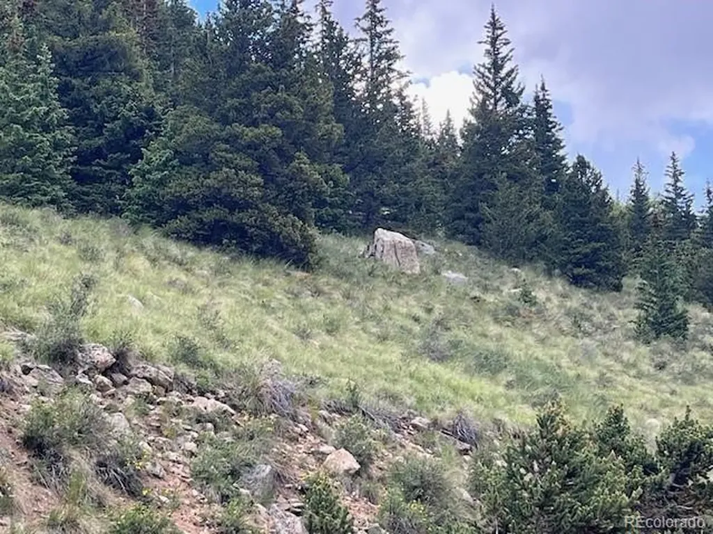 Lot 6644 Phillips Road San Luis CO 81152