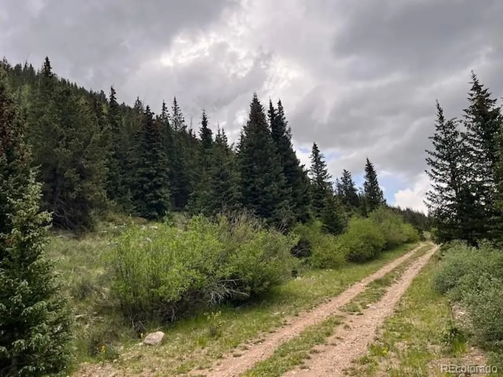 Lot 6644 Phillips Road San Luis CO 81152