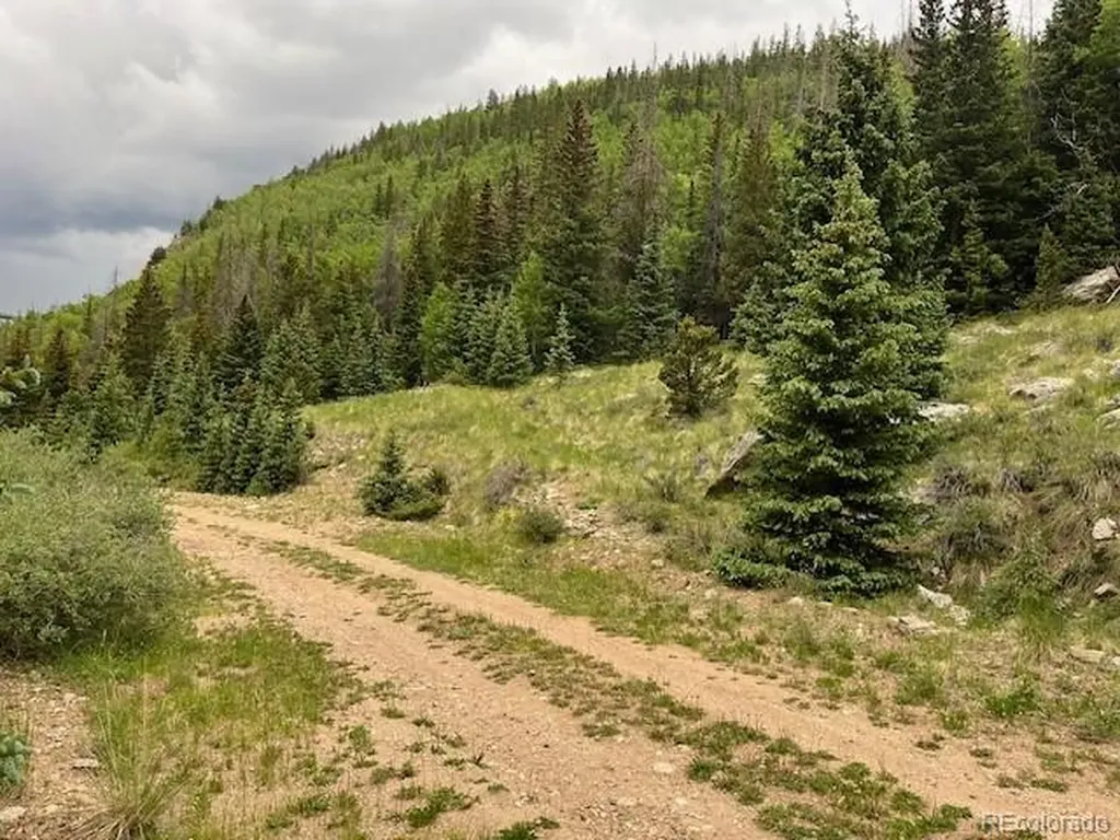 Lot 6644 Phillips Road San Luis CO 81152