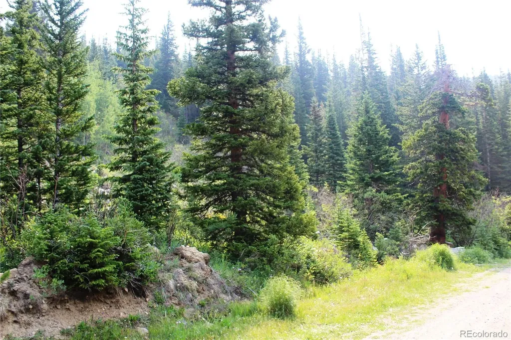 01 Miners Road Idaho Springs CO 80461