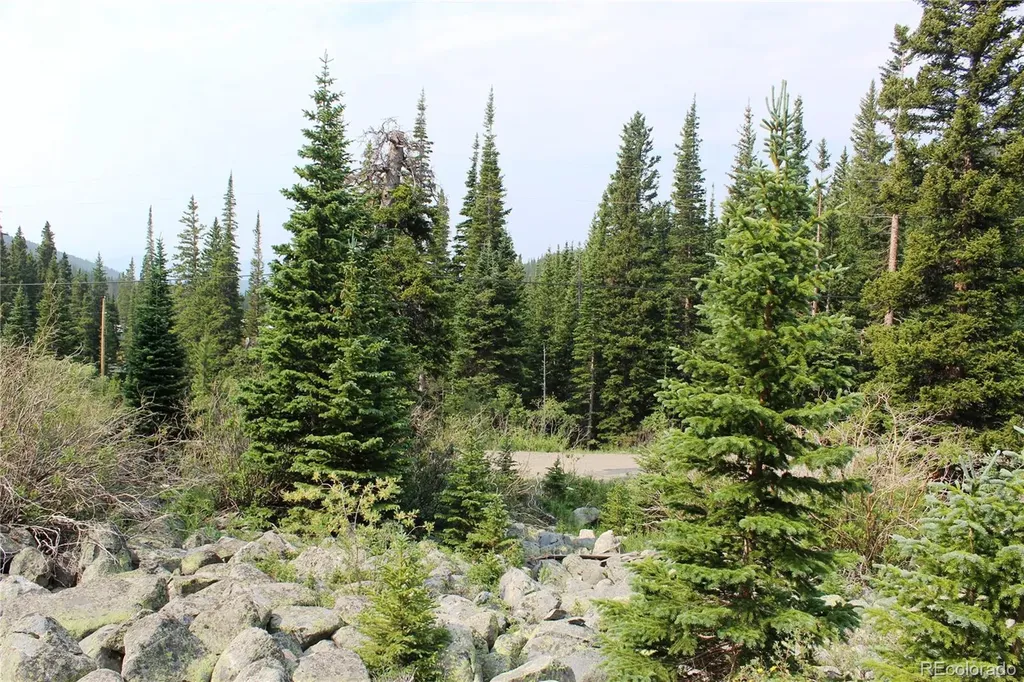 01 Miners Road Idaho Springs CO 80461