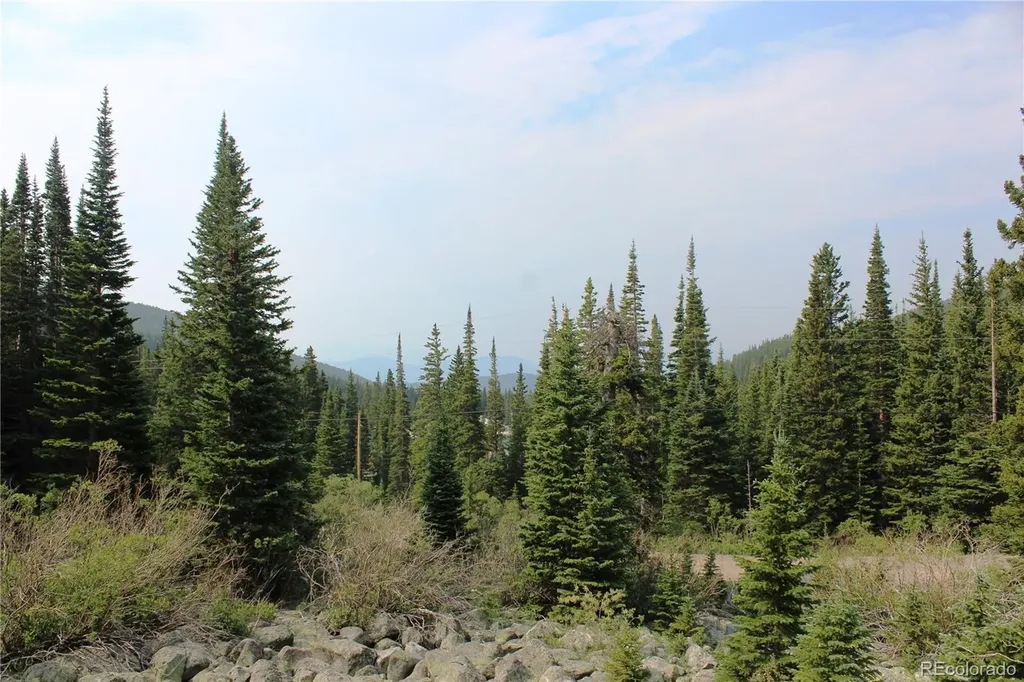 01 Miners Road Idaho Springs CO 80461