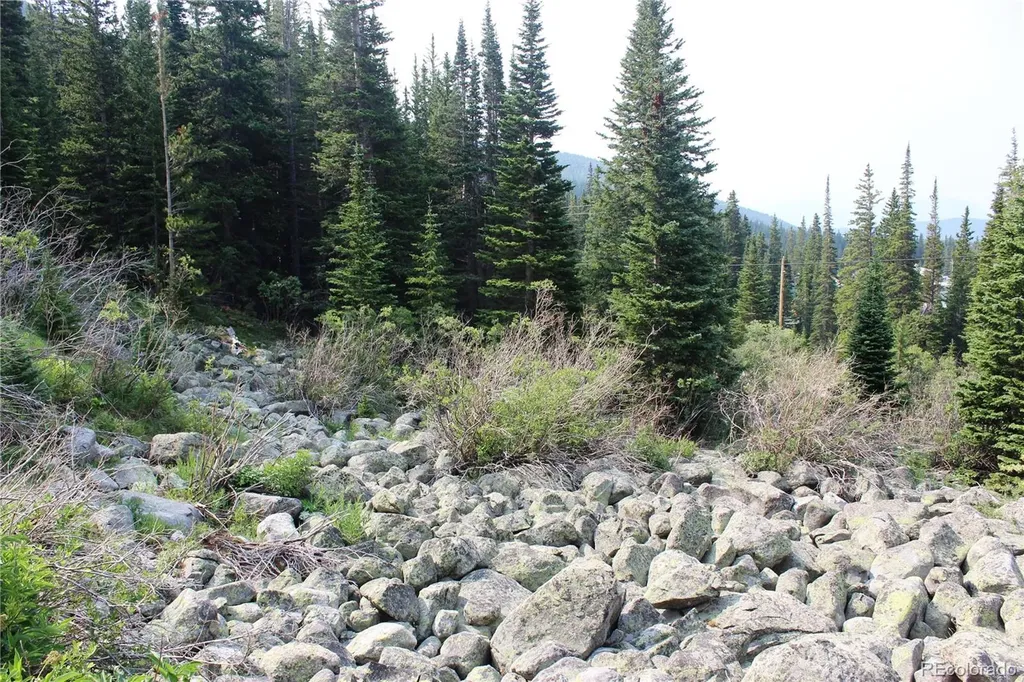 01 Miners Road Idaho Springs CO 80461