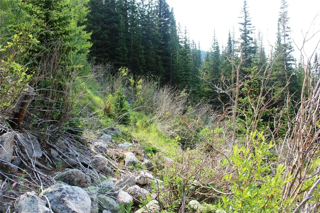 01 Miners Road Idaho Springs CO 80461