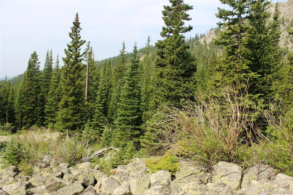 01 Miners Road Idaho Springs CO 80461
