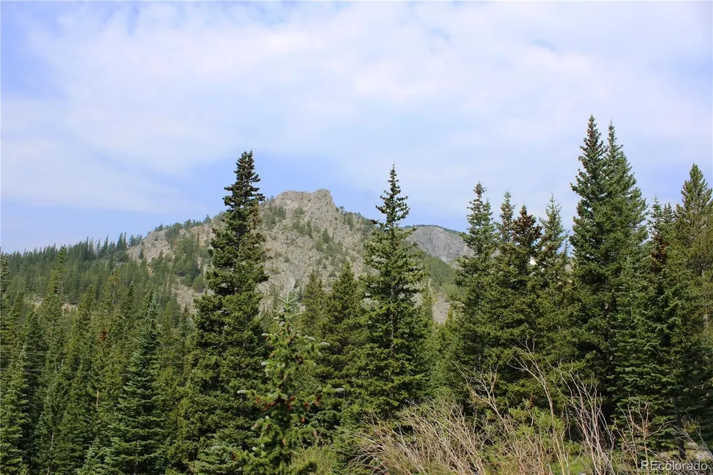 01 Miners Road Idaho Springs CO 80461
