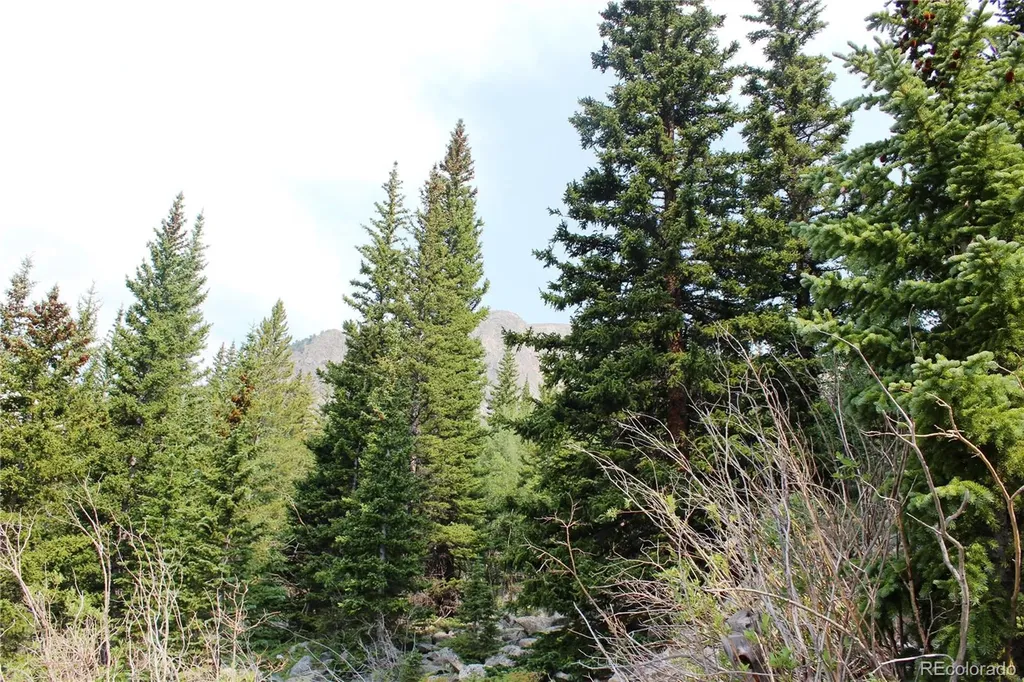 01 Miners Road Idaho Springs CO 80461