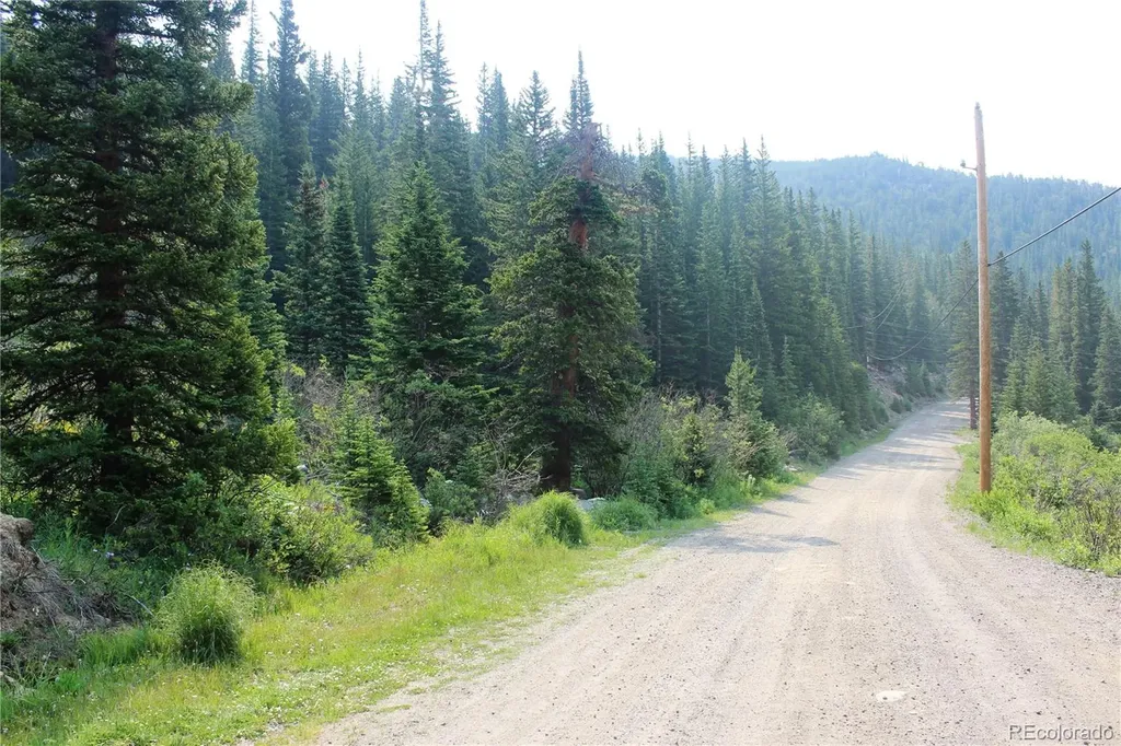 01 Miners Road Idaho Springs CO 80461