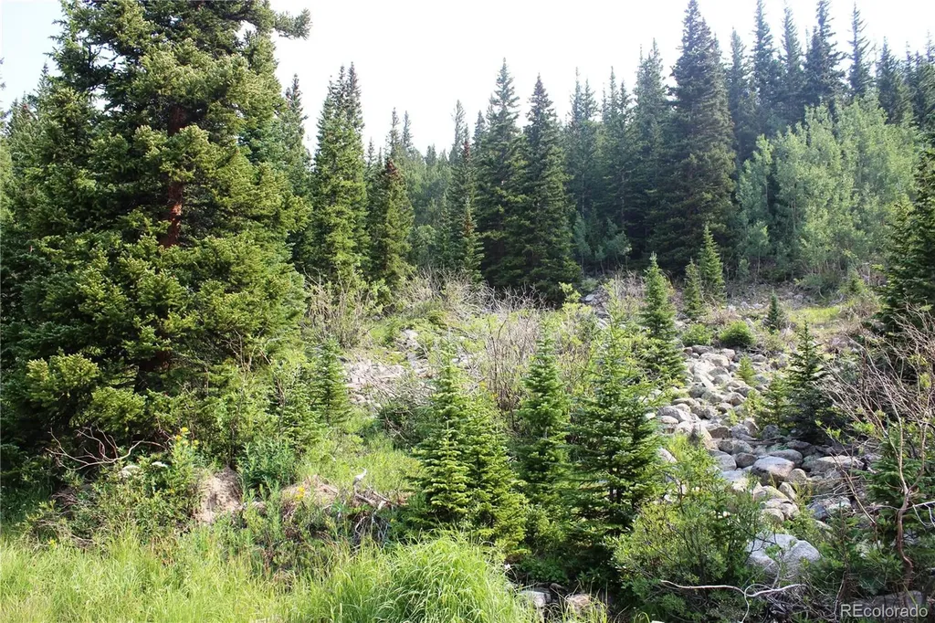 01 Miners Road Idaho Springs CO 80461