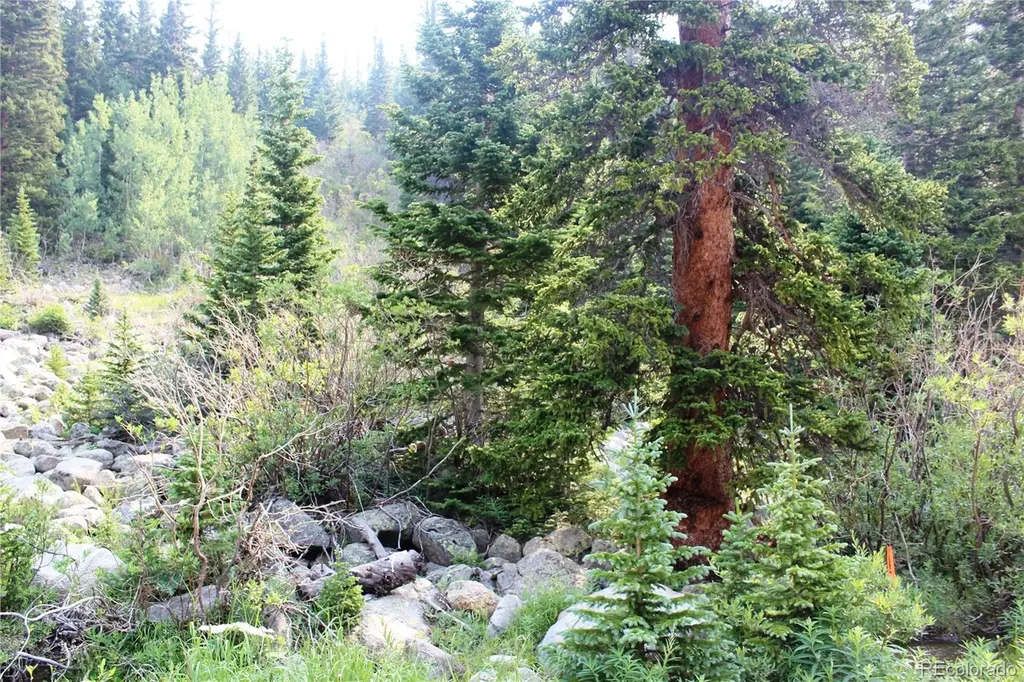 01 Miners Road Idaho Springs CO 80461