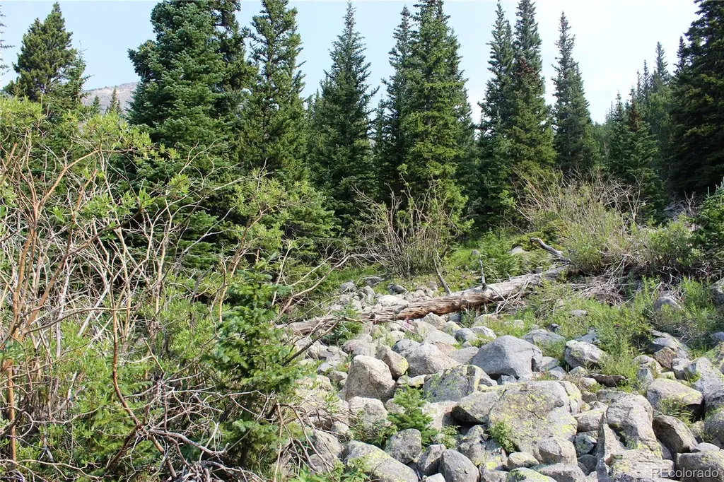 01 Miners Road Idaho Springs CO 80461