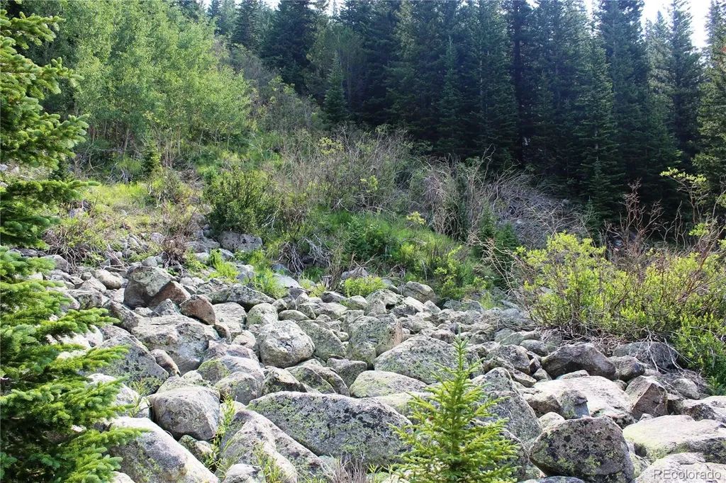 01 Miners Road Idaho Springs CO 80461
