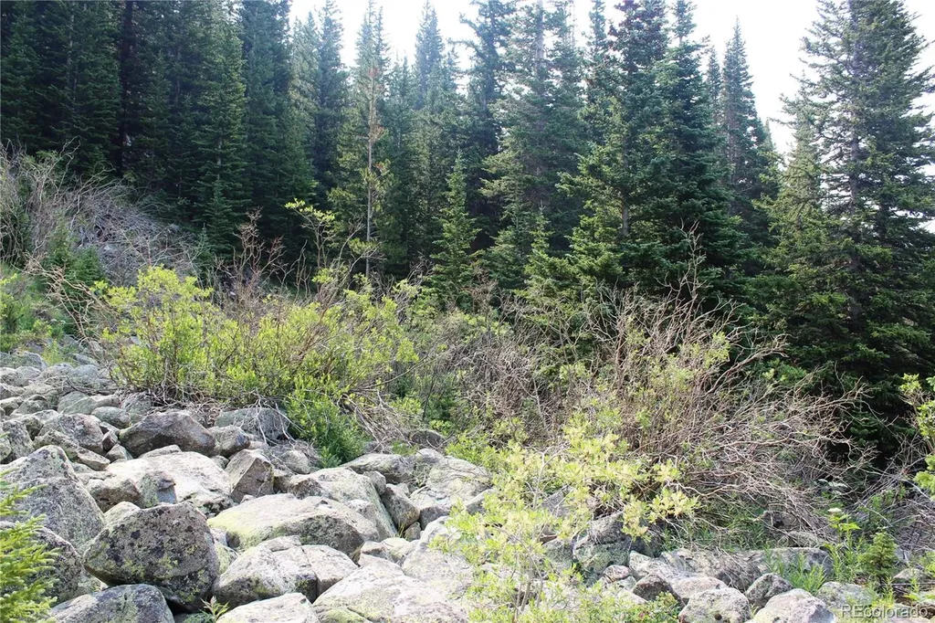 01 Miners Road Idaho Springs CO 80461
