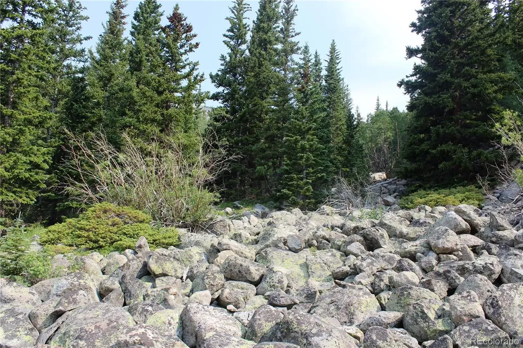 01 Miners Road Idaho Springs CO 80461