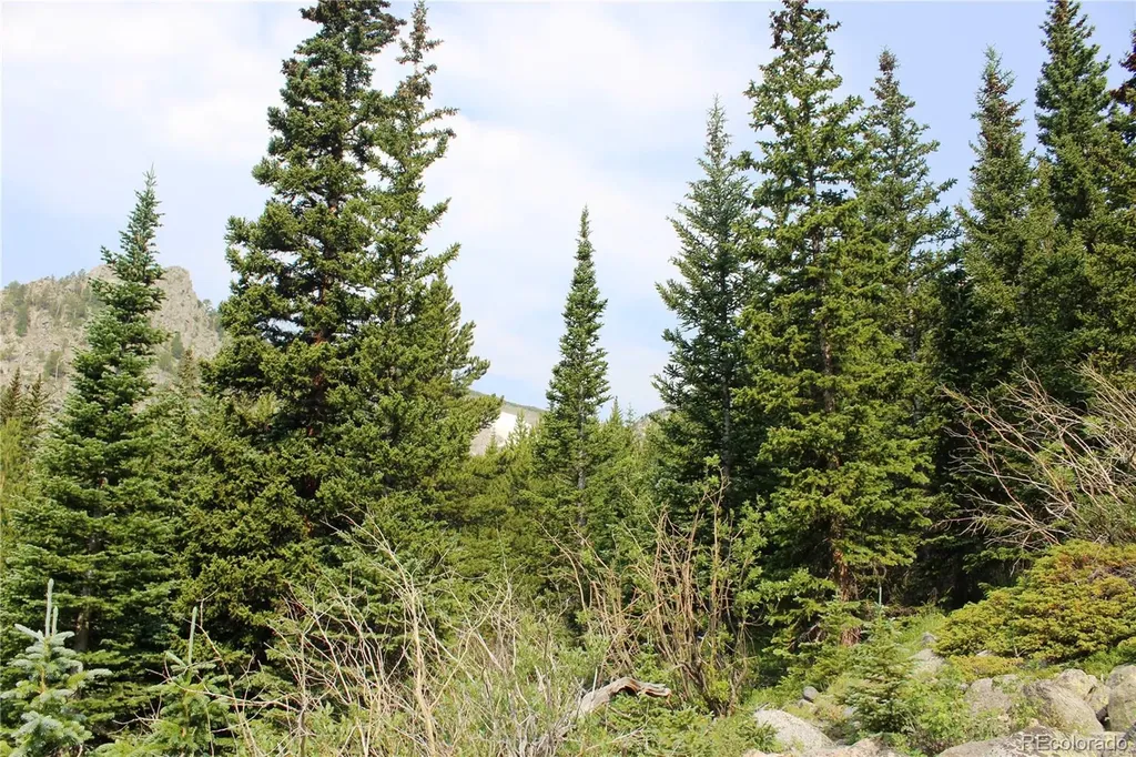 01 Miners Road Idaho Springs CO 80461