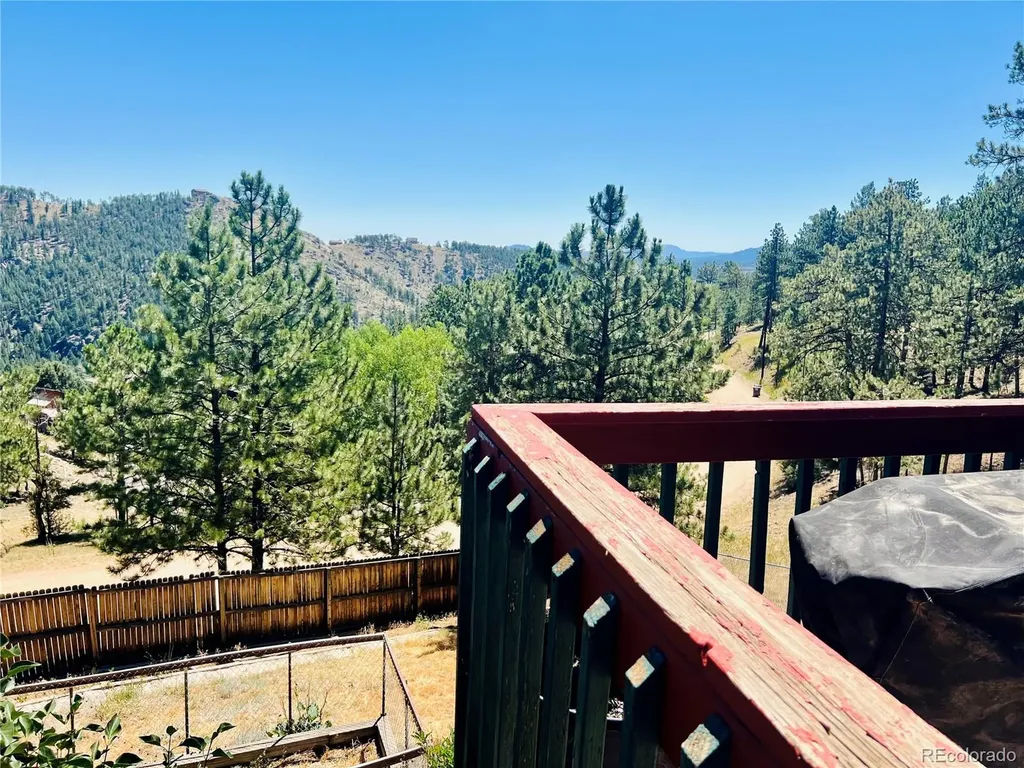 362 Raven Drive Bailey CO 80421