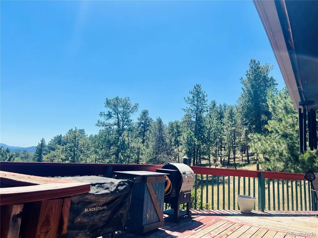 362 Raven Drive Bailey CO 80421